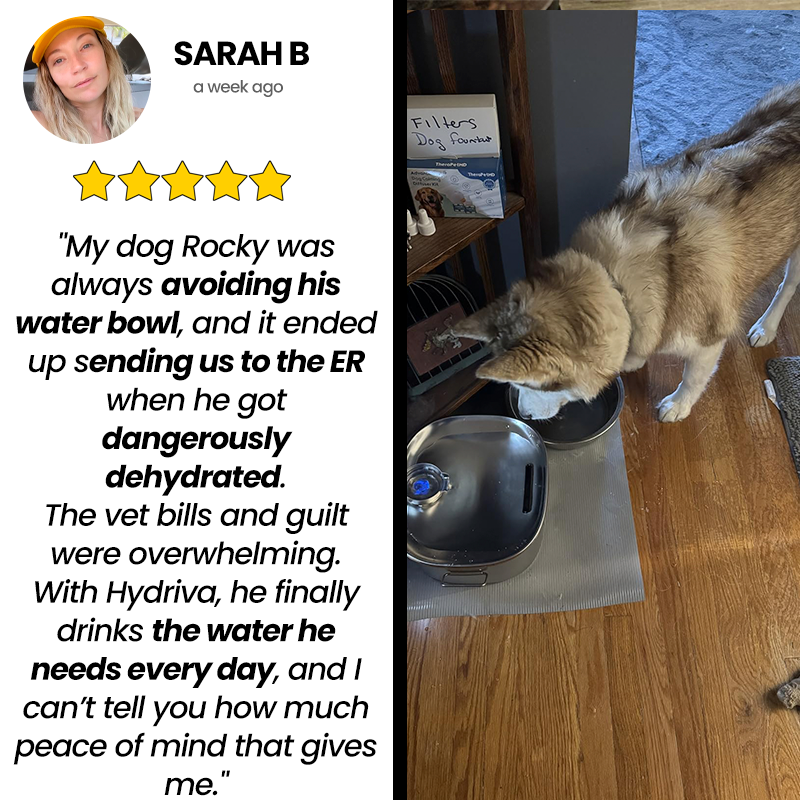 Hydriva™Stainless Steel Dog Water Fountain