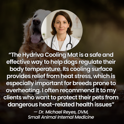 Hydriva™ Dog Cooling Mat