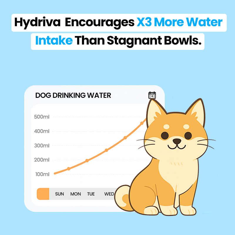 Hydriva™Stainless Steel Dog Water Fountain