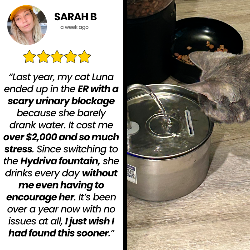 Hydriva™Stainless Steel Cat Water Fountain