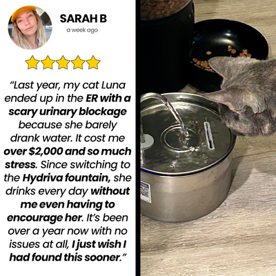 Hydriva™Stainless Steel Cat Water Fountain