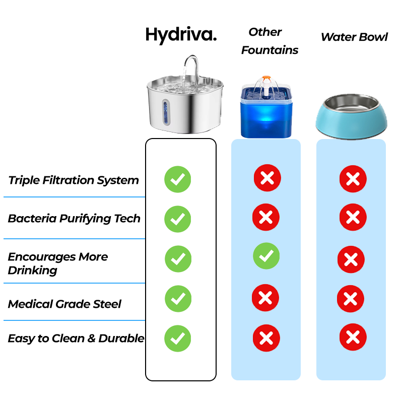 Hydriva™Stainless Steel Cat Water Fountain