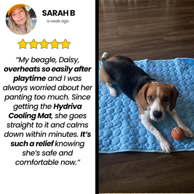 Hydriva™ Dog Cooling Mat