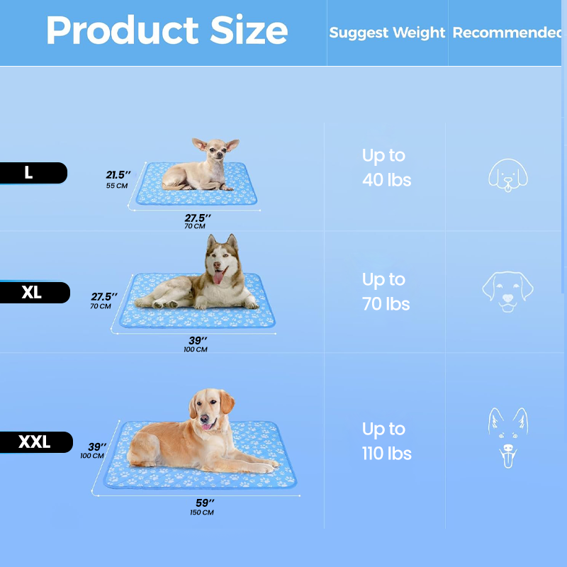 Image9_Size.png__PID:797b00e9-fdc0-43f5-b60e-9f526329294c