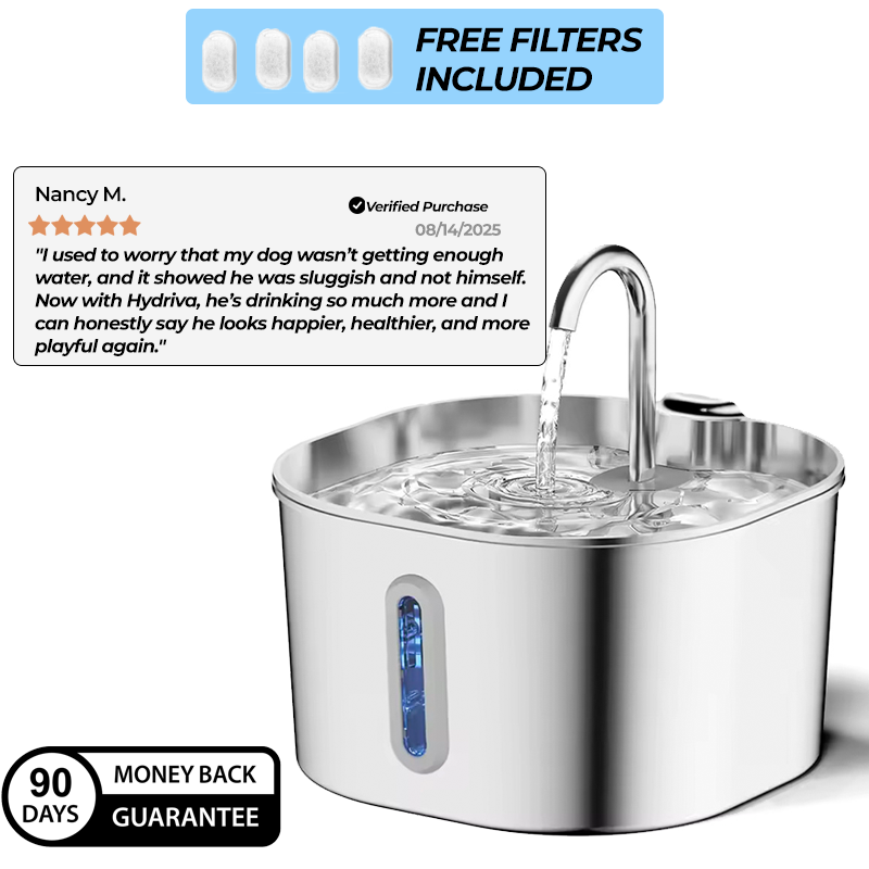Hydriva™Stainless Steel Dog Water Fountain