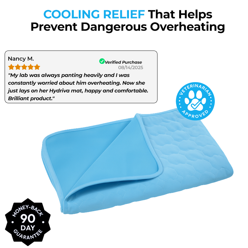 Hydriva™ Dog Cooling Mat